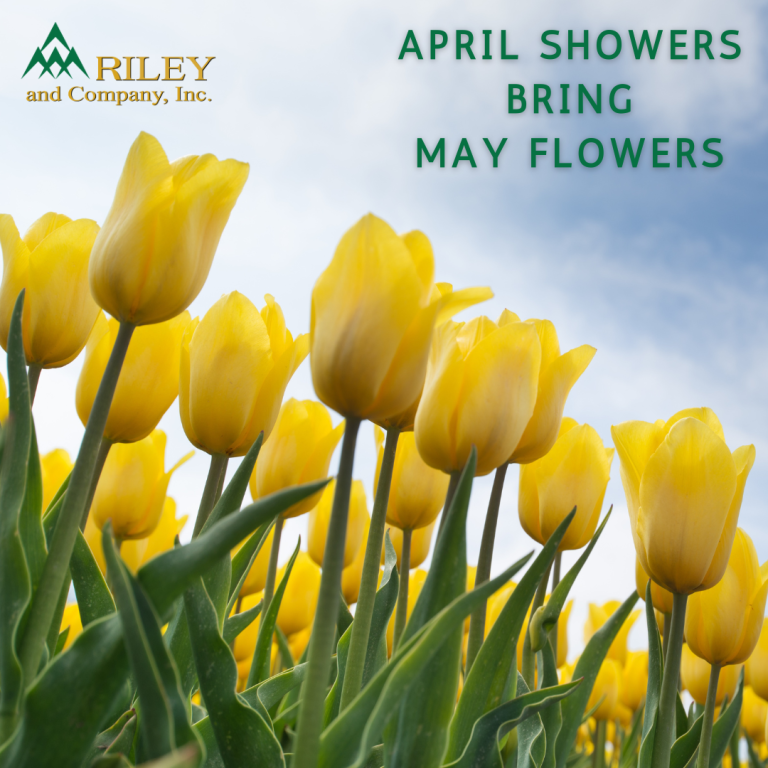 It is already May!